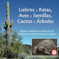 Spanish language edition