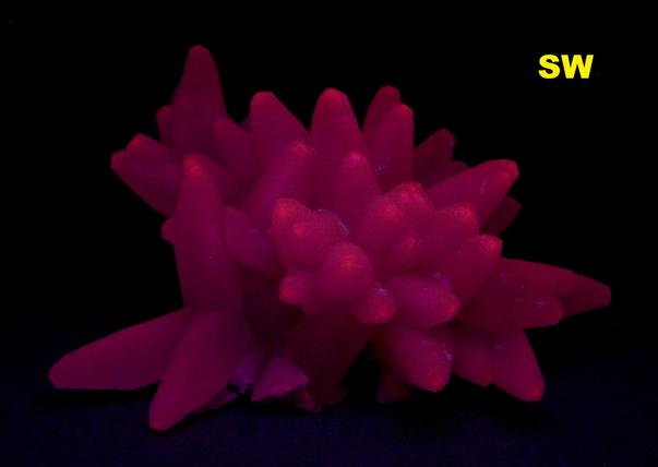 Fluorescent Calcite Iraí Rio Grande do Sul Brazil