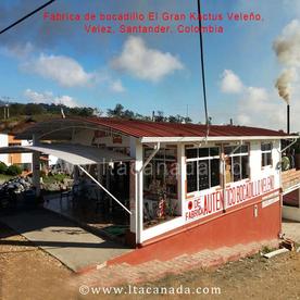 Cubierta termoacustica PVC marca LTA