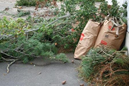 Yard Waste Removal Yard Waste Trees Branches Leaf Removal Service and Cost | Lincoln NE | LNK Junk Removal