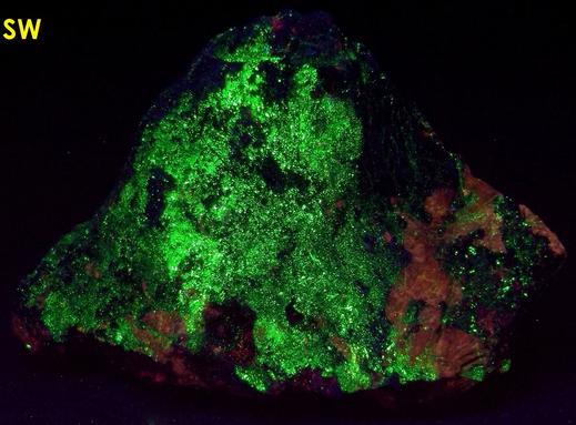 fluorescent FLUORAPATITE, BUSTAMITE, WILLEMITE, ANDRADITE, DIOPSIDE SCHEFFERITE, CALCITE, Franklin Mine, Franklin, Franklin Mining District, Sussex County, New Jersey, USA - type locality