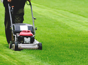 Total Lawn Care & Landscaping - Property Maintenance
