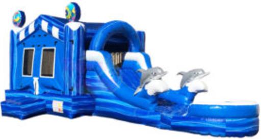 4/1 Dolphin combo Water Slide