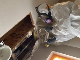 Mold Remediation Company Alta Loma CA