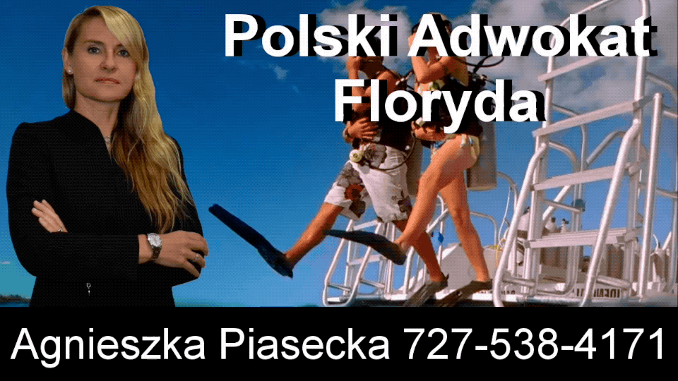 Polish Attorney / Polish Lawyer Florida
