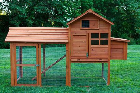 Chicken Coop with a run area. We can special order coops