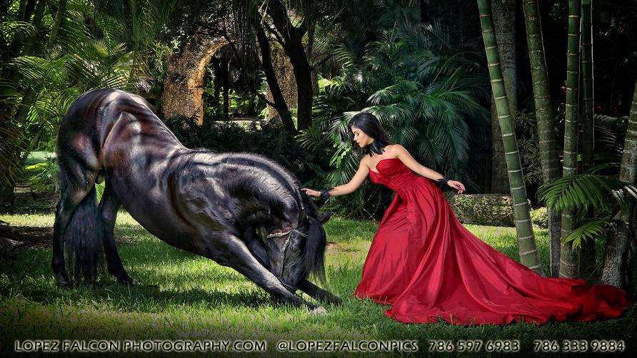 QUINCES PHOTOGRAPHY WITH BLACK HORSE IN MIAMI QUINCEANERA SWEET 15