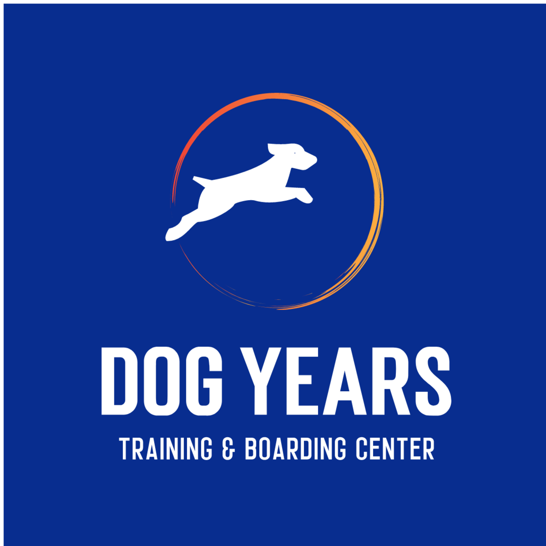 Dog Years Training  Boarding