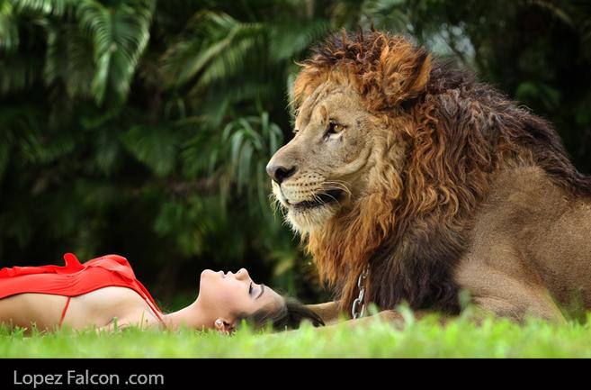 QUINCEANERA PHOTOGRAPHY WHIT LION QUINCES CON LEON MIAMI