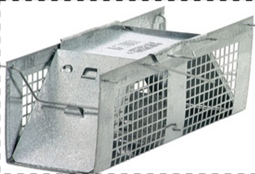 Live Animal Two-Door Rodent Cage Trap