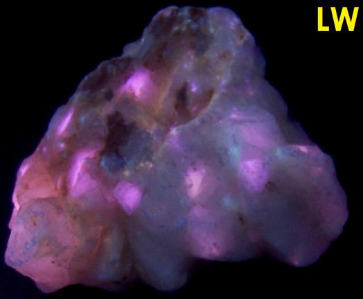 fluorescent phosphorescent Terlingua CALCITE, Terlingua, Terlingua Mining District, Brewster County, Texas, USA - ex Richard Eisenman "Highland Rocks"