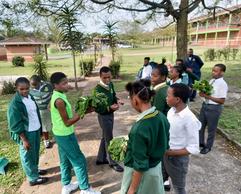 school children growing vegetables