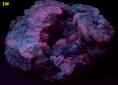 fluorescing SCAPOLITE, TREMOLITE, MUSCOVITE mica - Combermere area (Palmer Rapids area), Renfrew County, Ontario, Canada - ex Morris Museum - for sale