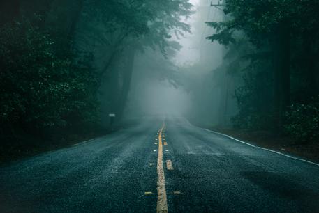 dark forest road wallpaper