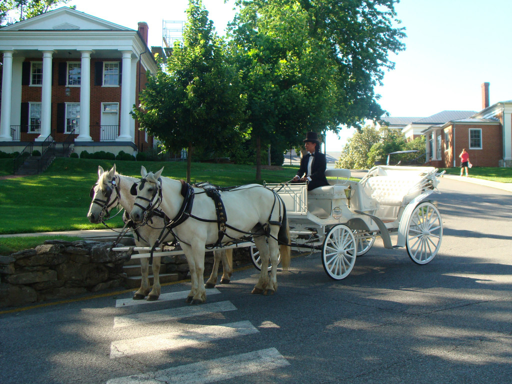 Horse-Drawn Carriage Tours of Downtown Historic Lexington