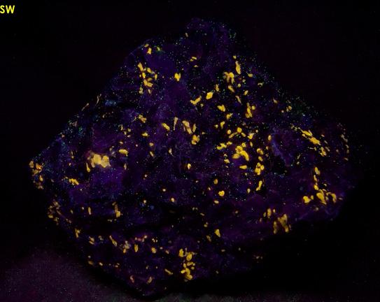 fluorescent WOLLASTONITE, GARNET, PYRITE, DIOPSIDE, black CALCITE - Sterling Mine, Sterling Hill, Ogdensburg, Franklin Mining District, Sussex County, New Jersey, USA