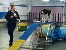 Agility Classes