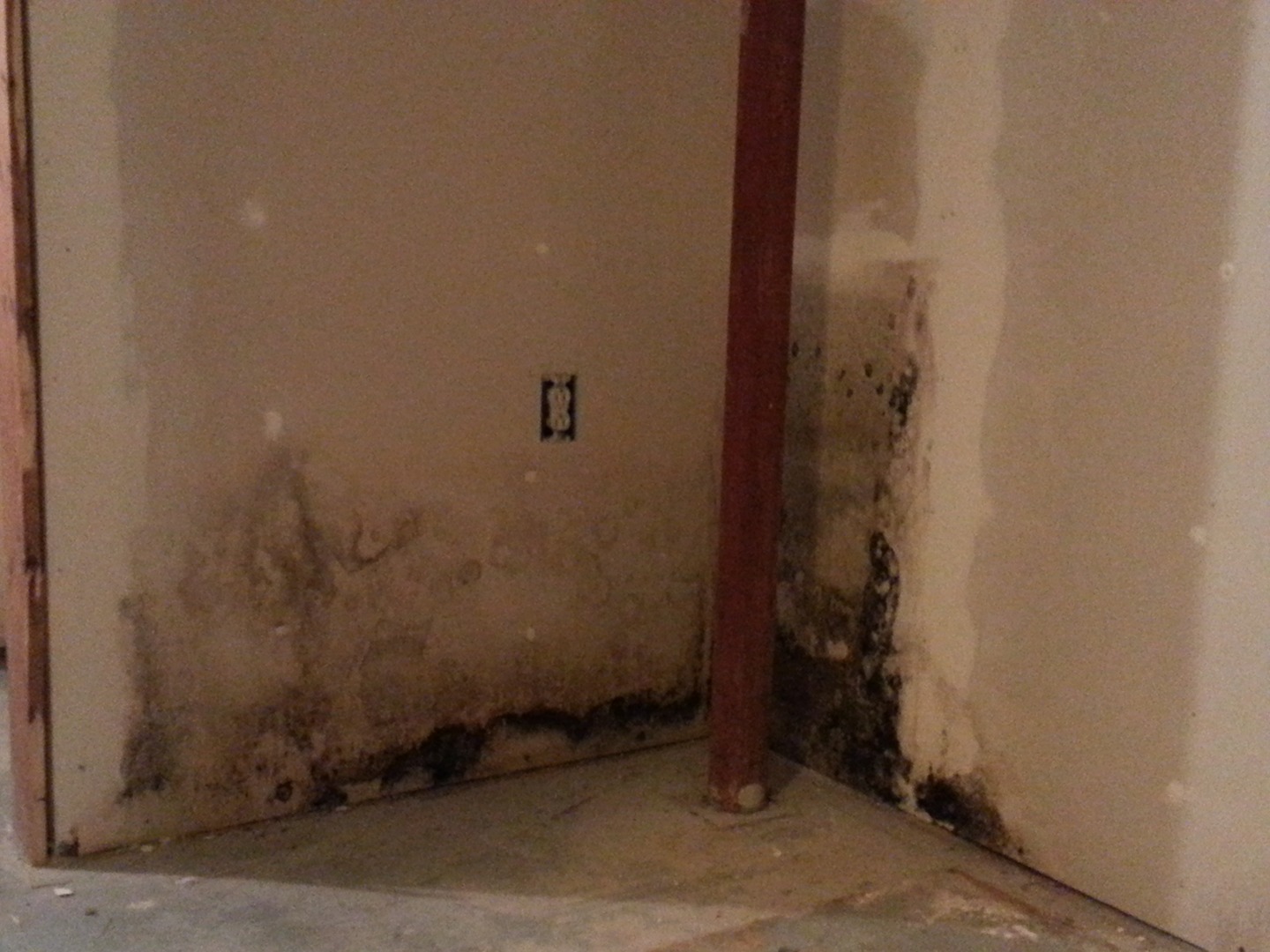 Mold Removal & Remediation in Greater Boston, MA