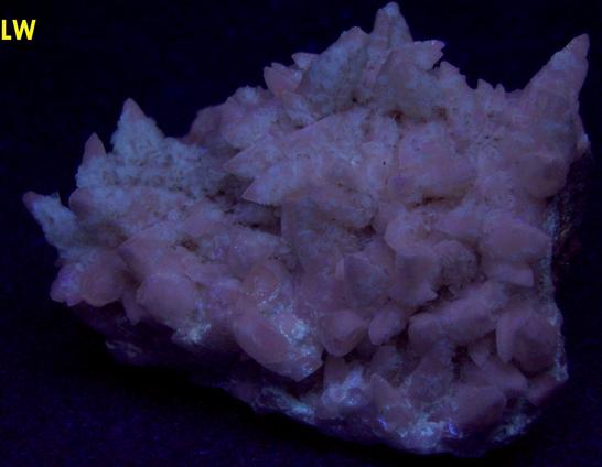SW LW fluorescing CALCITE - Minerva No. 1 Mine (Ozark-Mahoning No. 1 Mine), Ozark-Mahoning Group, Cave-in-Rock Sub-District, Illinois - Kentucky Fluorspar District, Hardin County, Illinois, USA