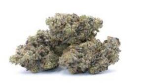 GOSH-Quad Hunters-Buy Bud Online