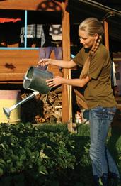 Functional Rehabilitation Windsor - Gardening