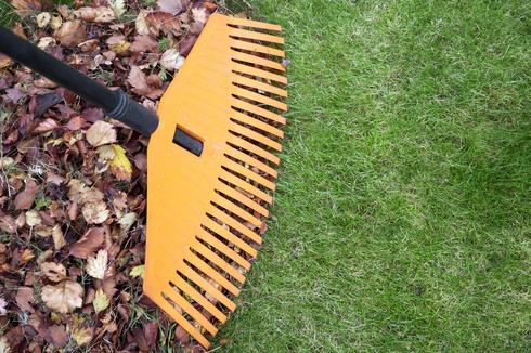 LAWN CLEAN UP SERVICES