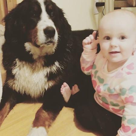 Bernese is very friendly with Babies - Utah Bernedoodles