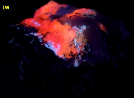 fluorescent TUGTUPITE with AEGIRINE - Ilimaussaq complex, Narsaq, Kujalleq (Kitaa Province - West Greenland), Greenland, Denmark - type locality