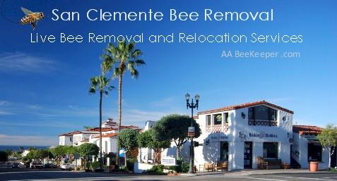 San Clemente Bee Removal and Beekeeper