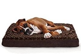 Bernedoodle Dog Bed