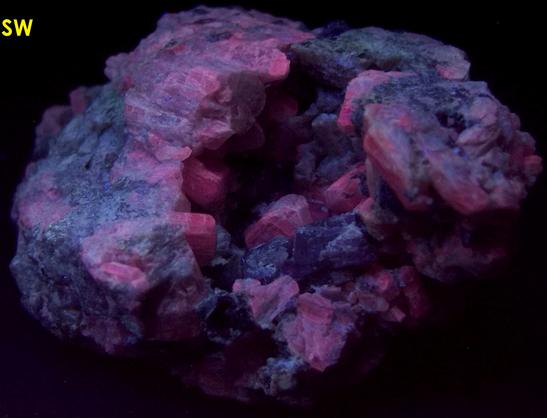 fluorescing SCAPOLITE, TREMOLITE, MUSCOVITE mica - Combermere area (Palmer Rapids area), Renfrew County, Ontario, Canada - ex Morris Museum