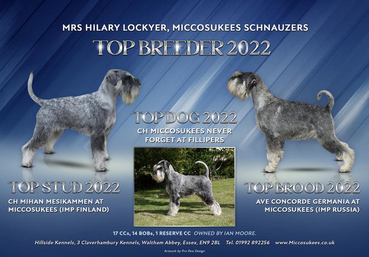 Top schnauzers store