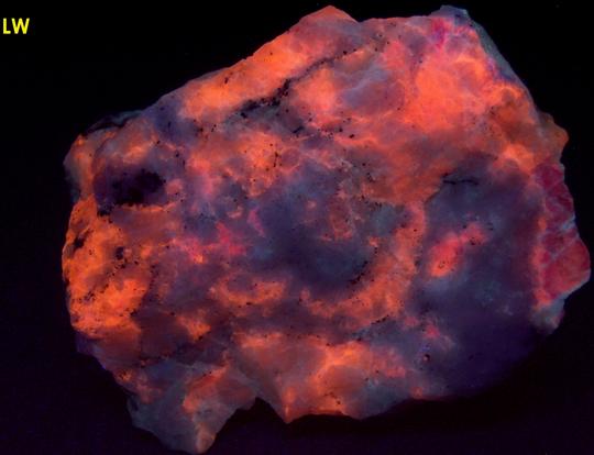 tenebrescent fluorescent SODALITE HACKMANITE - Dungannon Township, Hasting County, Ontario, Canada - ex Franklin MiningMuseum, J.Baum