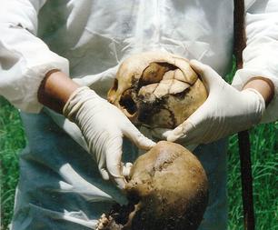 Lyal S. Sunga 1994 Rwanda genocide investigations
