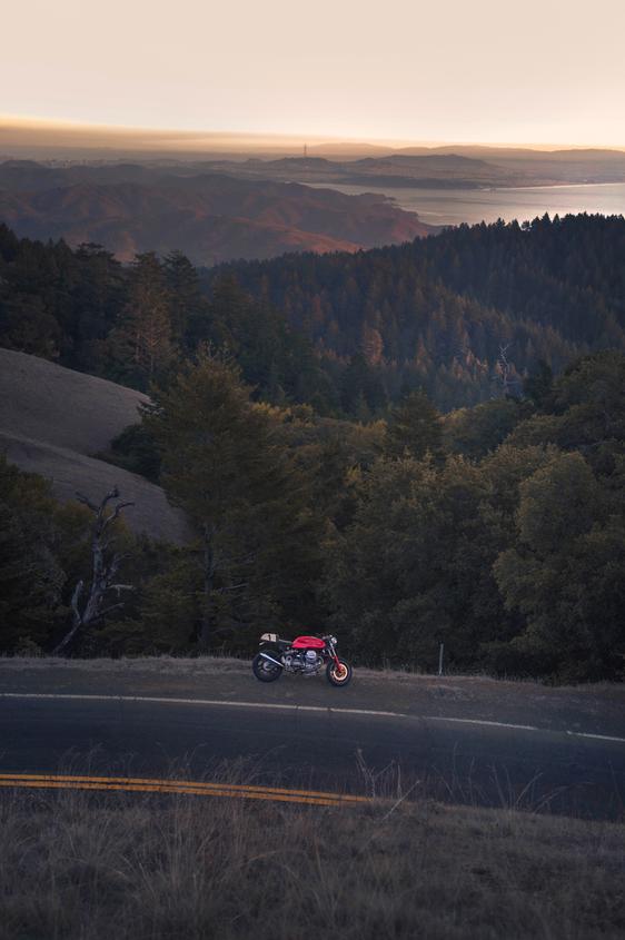 san francico bay area nature lovers forest landscape