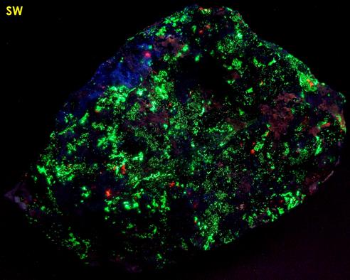 fluorescent MICROCLINE Amazonite, WILLEMITE, FLUORAPATITE, DIOPSIDE, ANDRADITE, QUARTZ, CALCITE - Franklin, Franklin Mining District, Sussex County, New Jersey, USA