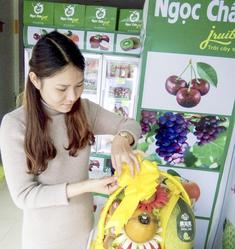 Hoa quả nhập khẩu làm quà biếu quà tặng