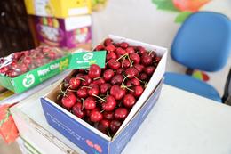 trái cherry tại Hà Nội