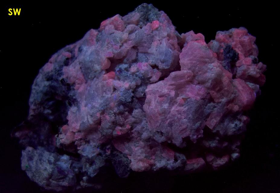 fluorescing SCAPOLITE, TREMOLITE, MUSCOVITE mica - Combermere area (Palmer Rapids area), Renfrew County, Ontario, Canada - ex Morris Museum