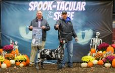 Vargas Dolce and Gabanna