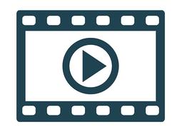 Palm Video