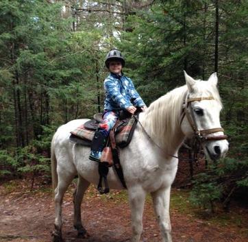 Child Friendly Horses - Lake Placid NY Activities