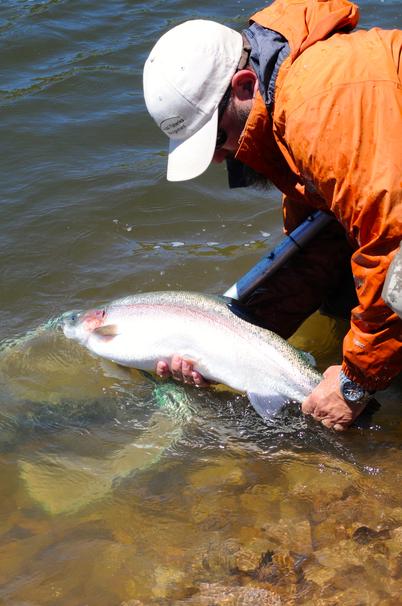 Lake and Fish Management