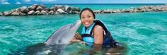 "Swim with the dolphins, Rocky's Taxi and Tour Service"