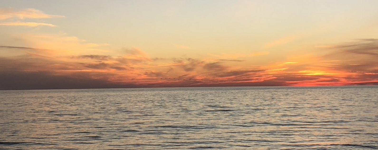 Jackson Psychiatry Group treats ADHD, Anxiety, Depression, Bipolar