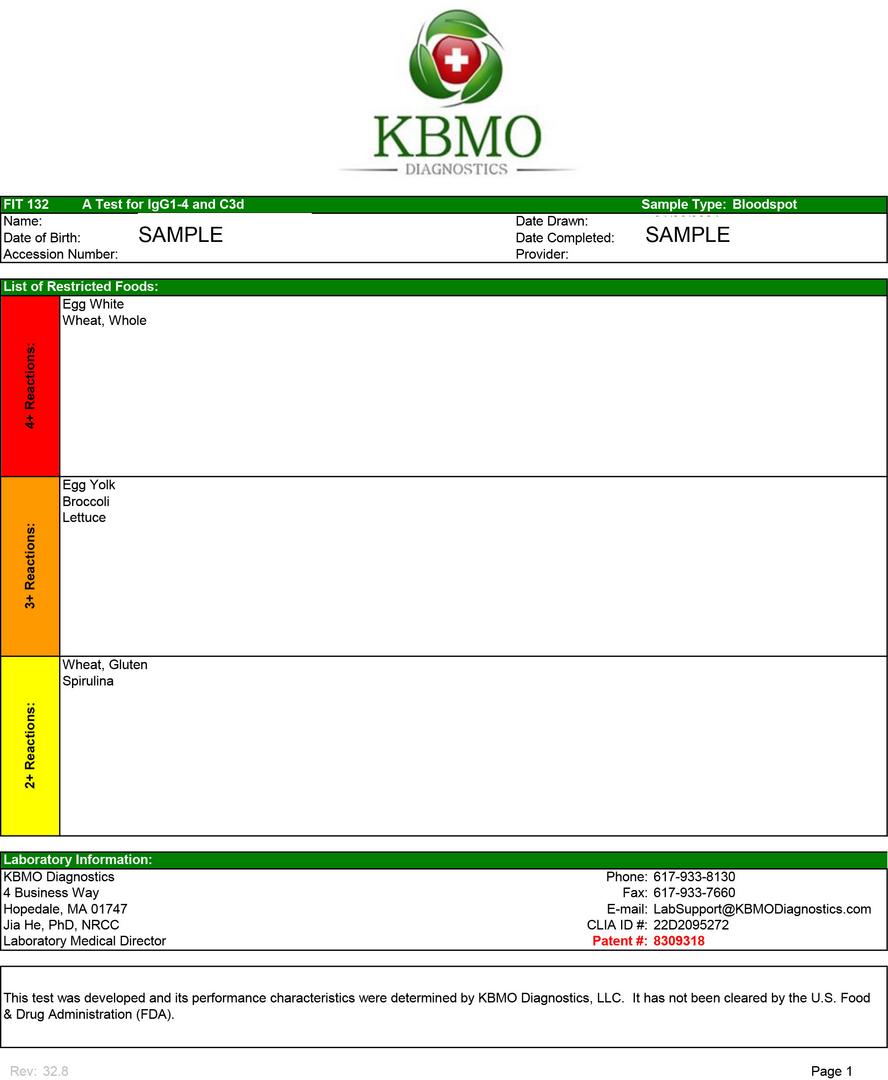 FIT 132 TEST - SAMPLE REPORT page 1