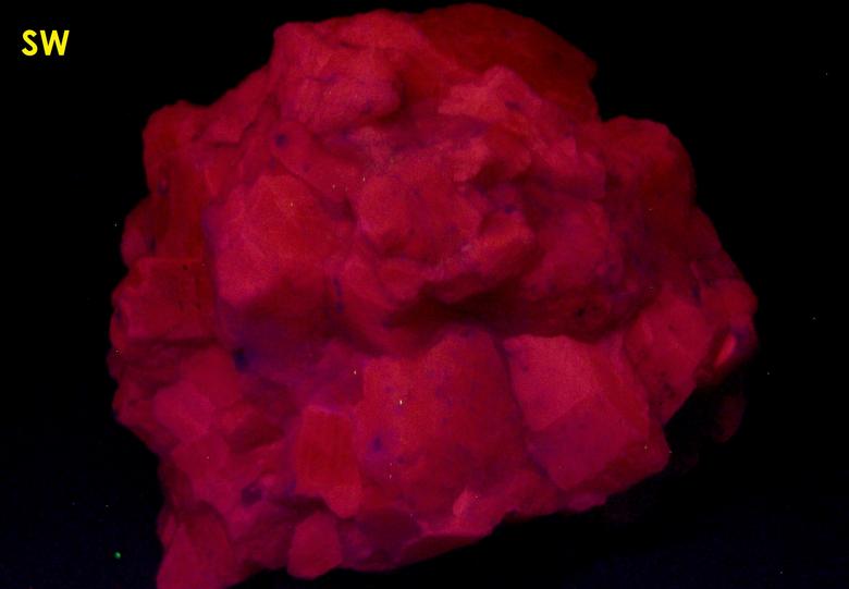fluorescent SALMON CALCITE, Passaic Pit (Passaic Mine; Marshall Mine), Sterling Hill, Ogdensburg, Franklin Mining District, Sussex County, New Jersey, USA