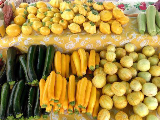 SUMMER SQUASH