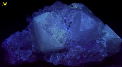 fluorescing FLUORAPOPHYLLITE, QUARTZ, LAUMONTITE - Prospect Park Quarry (Sowerbutt Quarry; Vandermade Quarry; Warren Brothers Quarry), Prospect Park, Passaic County, New Jersey, USA - ex Parker Minerals