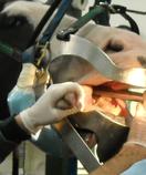 Athens Veterinary Services located in Athens, Michigan specializing in excellent care for companion animals.